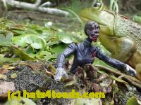 /home//u458753944/public_html/sourcegallery////Frogs/Bullfrogs 2016-08 Ontario/P8120059.JPG